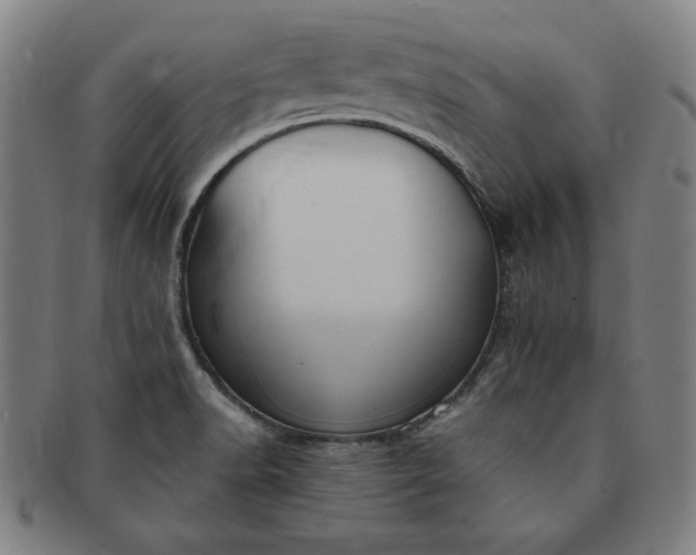 X0000091191518200708231457