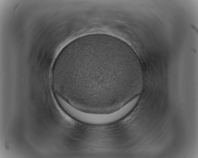 X0000091191519200708231457