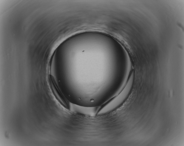 X0000091191520200708231457