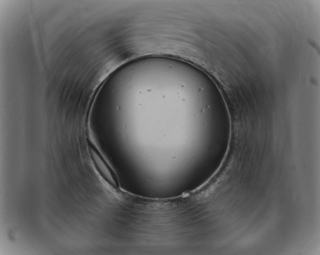 X0000091191521200708231457