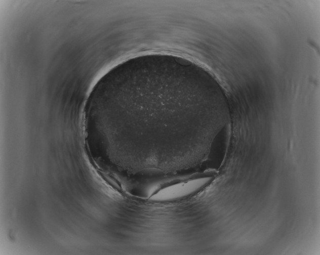 X0000091191522200708231457