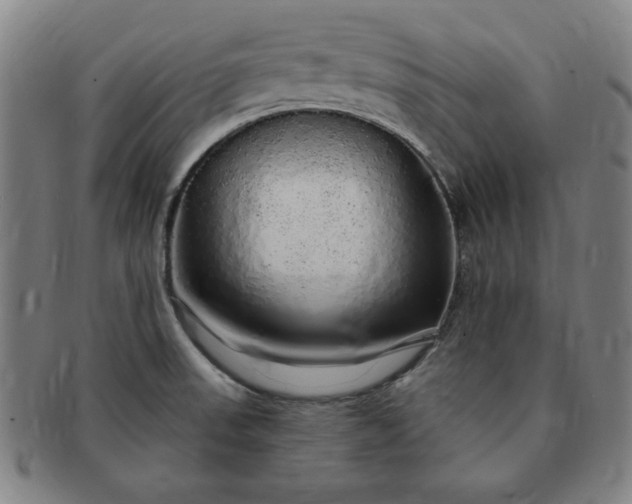 X0000091191523200708231457