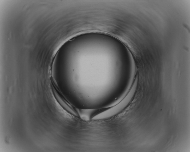 X0000091191524200708231457