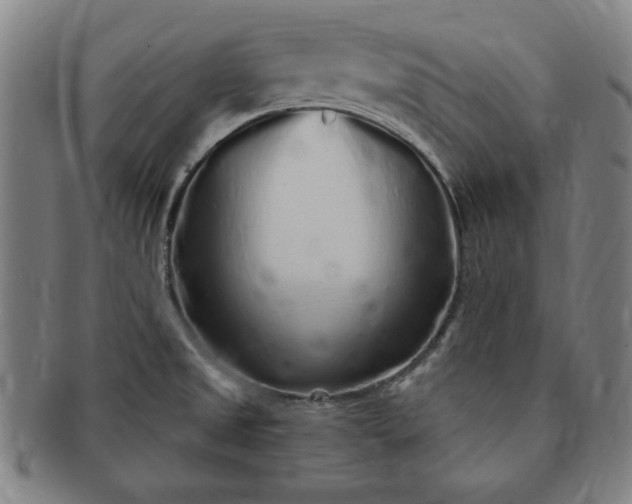 X0000091191525200708231457