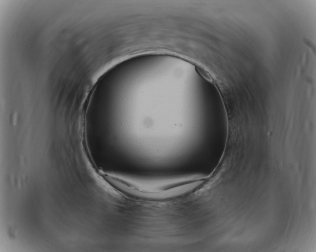 X0000091191526200708231457