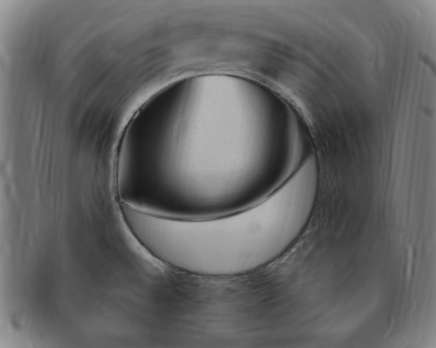 X0000091191528200708231457