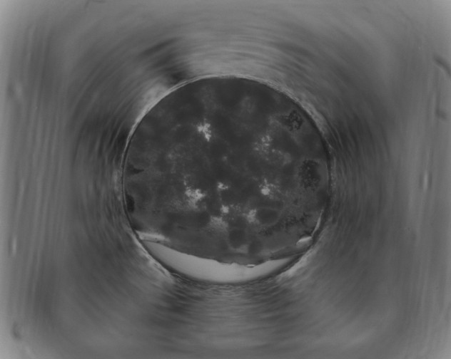 X0000091191529200708231457