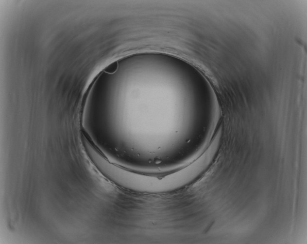X0000091191530200708231457