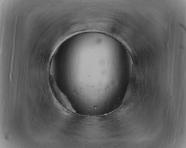 X0000091191532200708231457