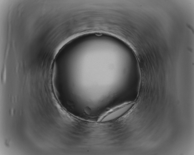 X0000091191534200708231458