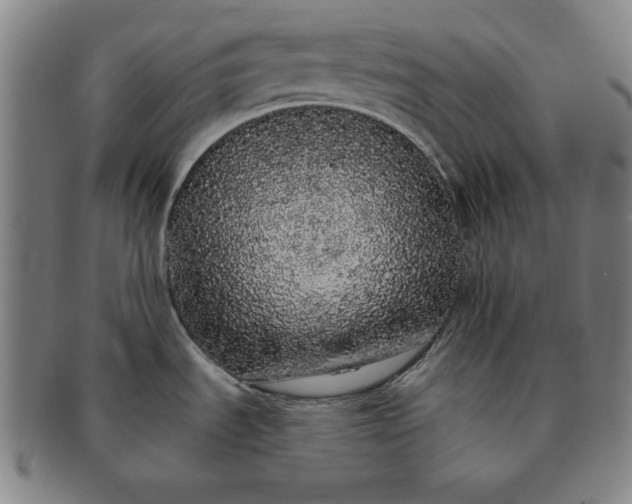 X0000091191535200708231458