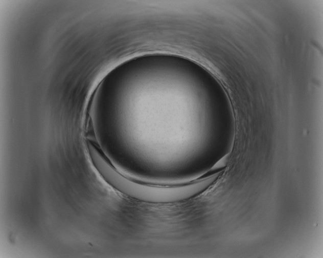 X0000091191536200708231458