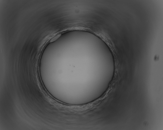 X0000091190001200708301247