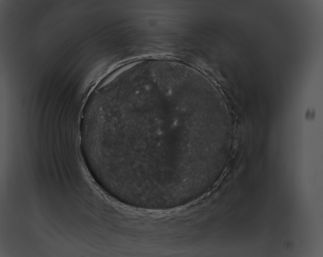 X0000091190002200708301247