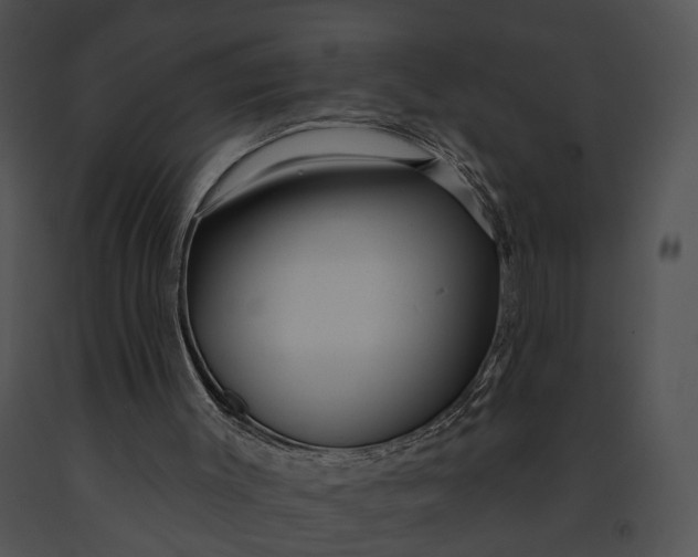 X0000091190003200708301247