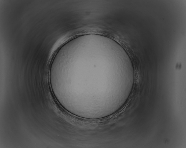 X0000091190004200708301247