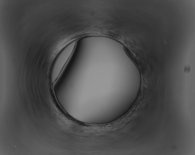 X0000091190005200708301246