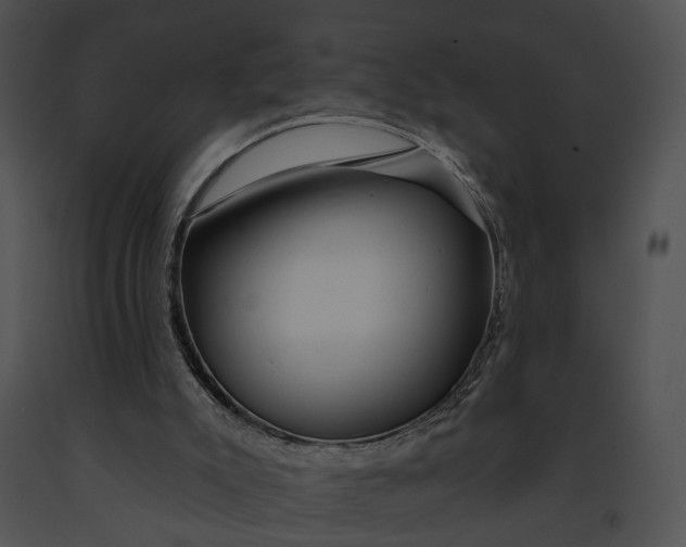 X0000091190007200708301246