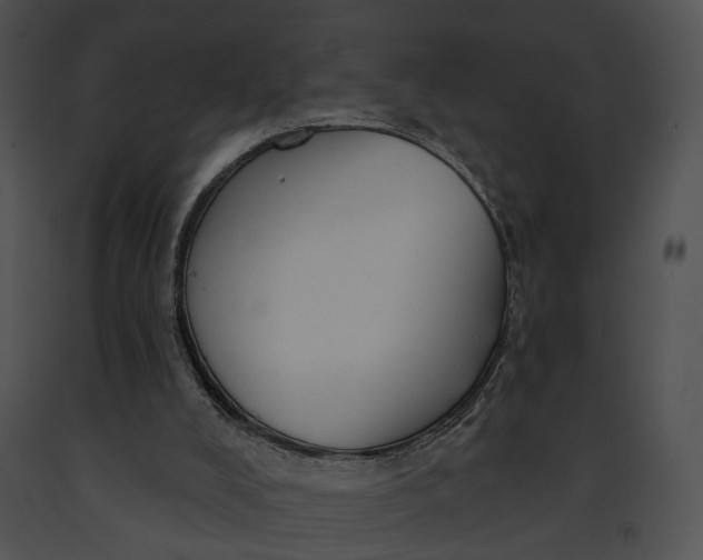 X0000091190008200708301246