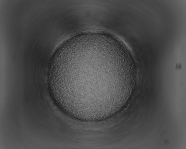 X0000091190010200708301246