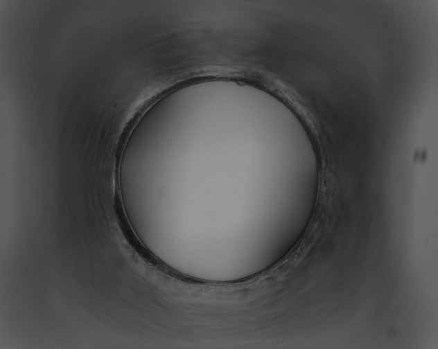 X0000091190011200708301246