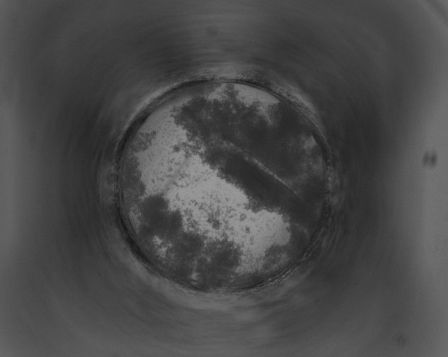 X0000091190012200708301246