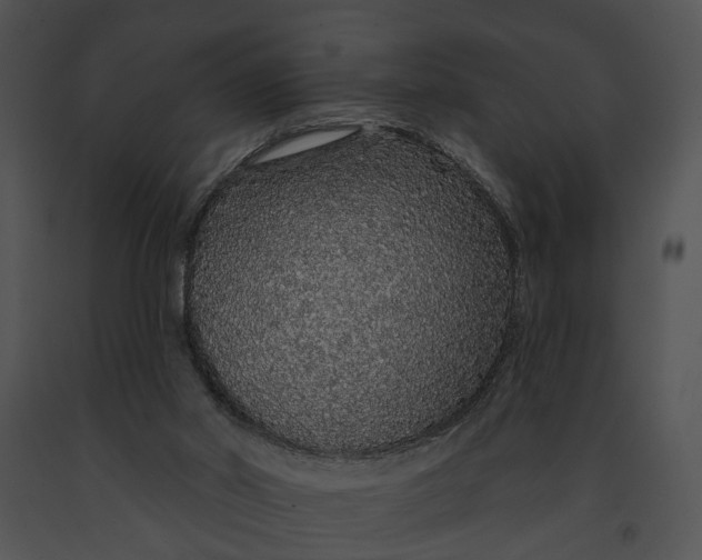 X0000091190014200708301246