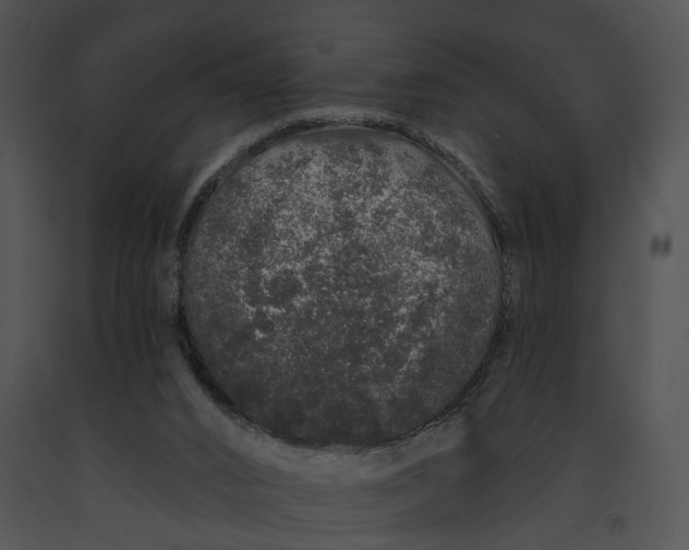 X0000091190016200708301246