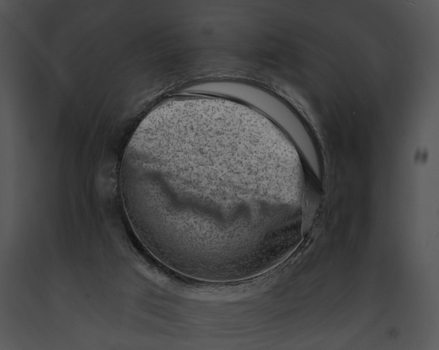 X0000091190017200708301246