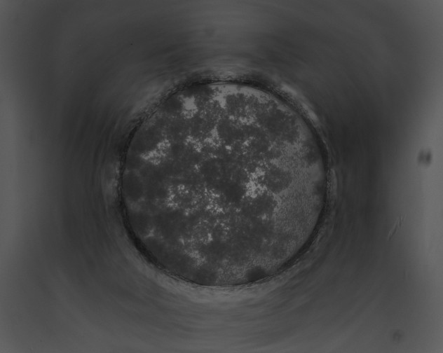 X0000091190018200708301246