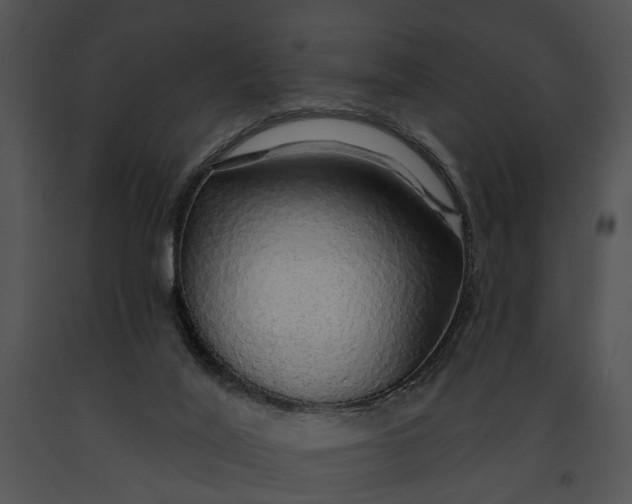 X0000091190020200708301246