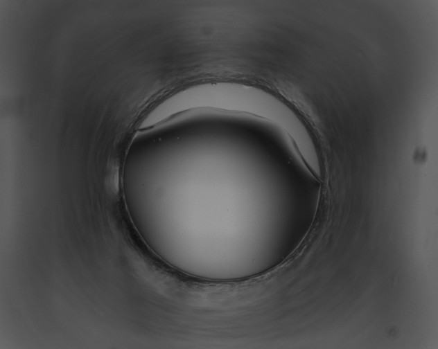 X0000091190021200708301246