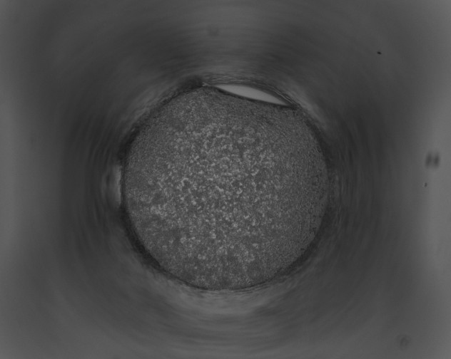 X0000091190022200708301246