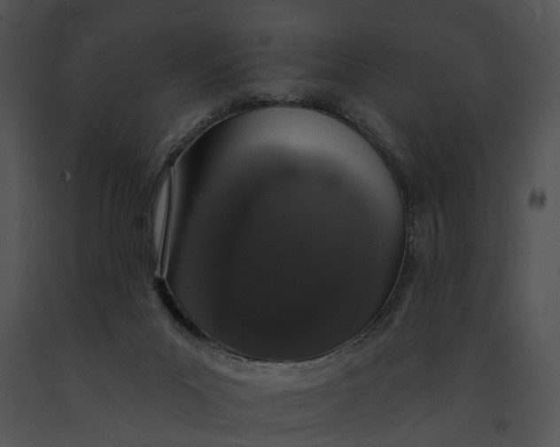 X0000091190023200708301246