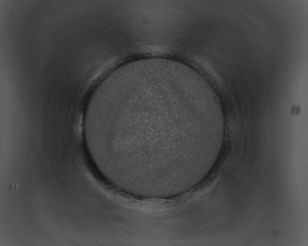 X0000091190024200708301246