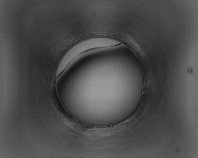 X0000091190025200708301246