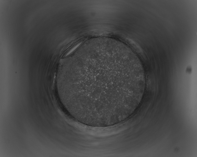 X0000091190026200708301246