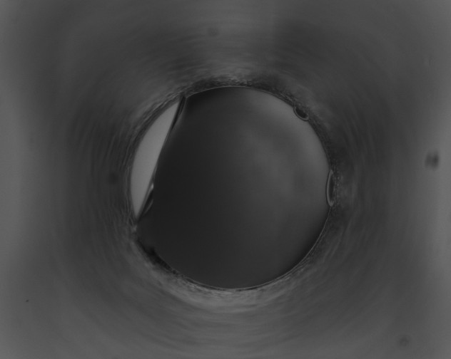 X0000091190027200708301246