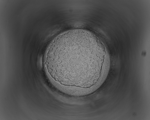 X0000091190028200708301246