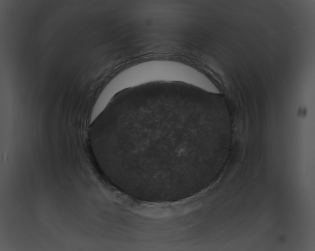 X0000091190029200708301246