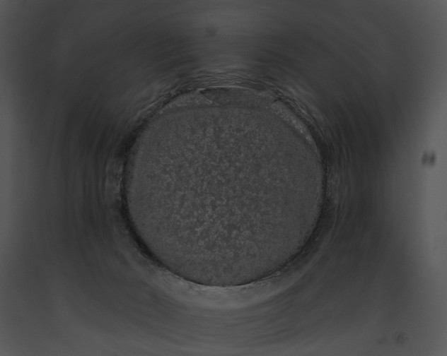 X0000091190030200708301246