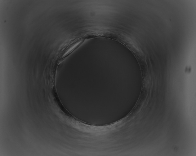 X0000091190031200708301246