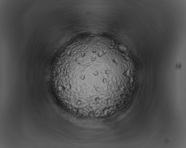 X0000091190032200708301246