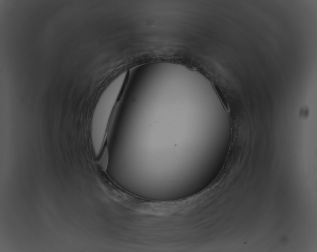 X0000091190033200708301246