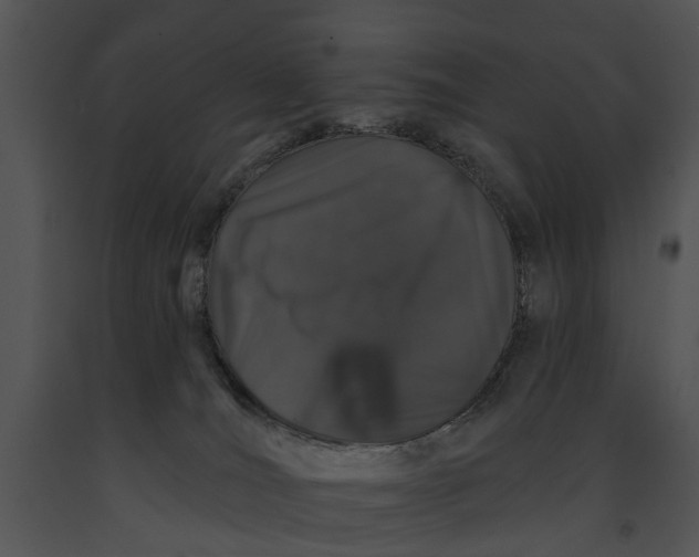 X0000091190036200708301246