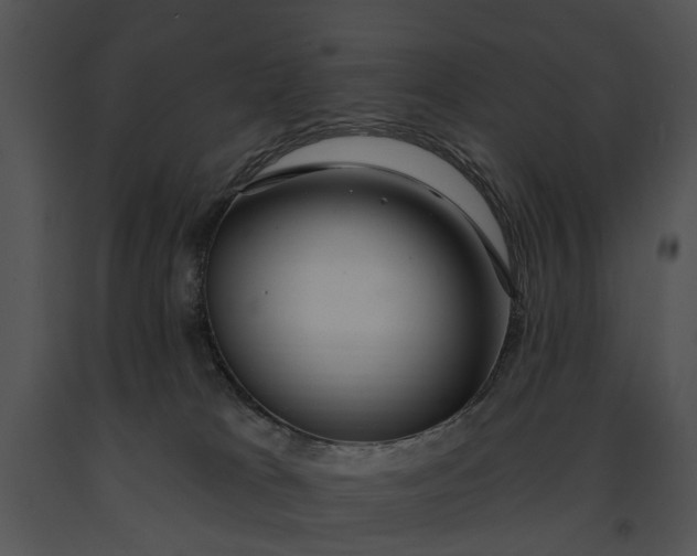 X0000091190037200708301246