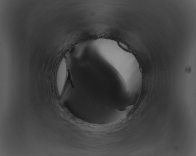 X0000091190039200708301246