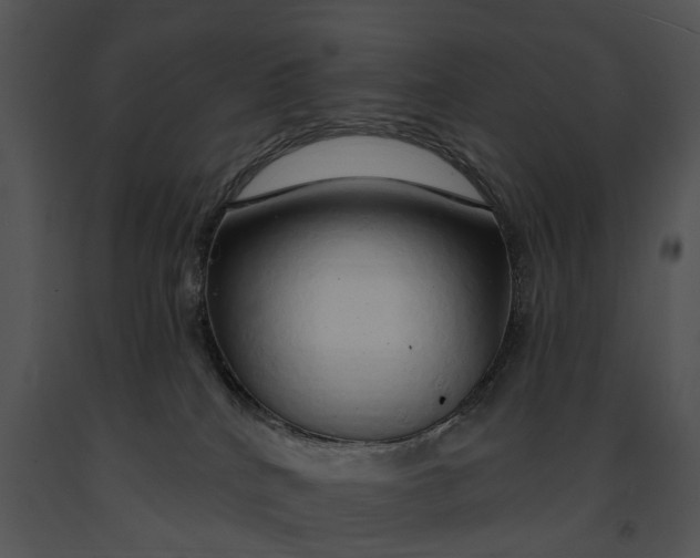 X0000091190040200708301246