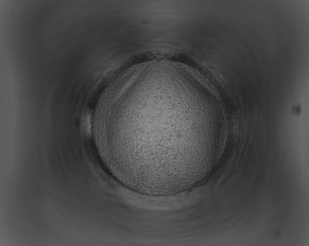 X0000091190042200708301246