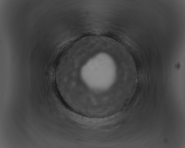 X0000091190043200708301246